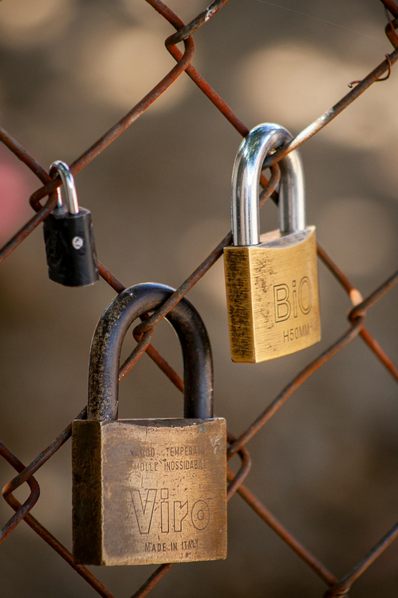 Detailed view of various padlocks secured to a rusted chain link fence highlighting security and resilience.